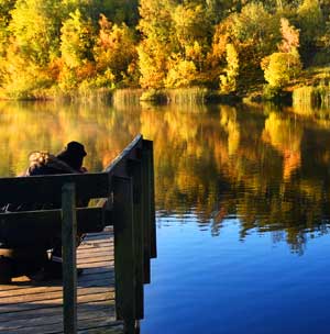 Fotografera naturlandskap, kursledare Annika Nyberg, Motiv